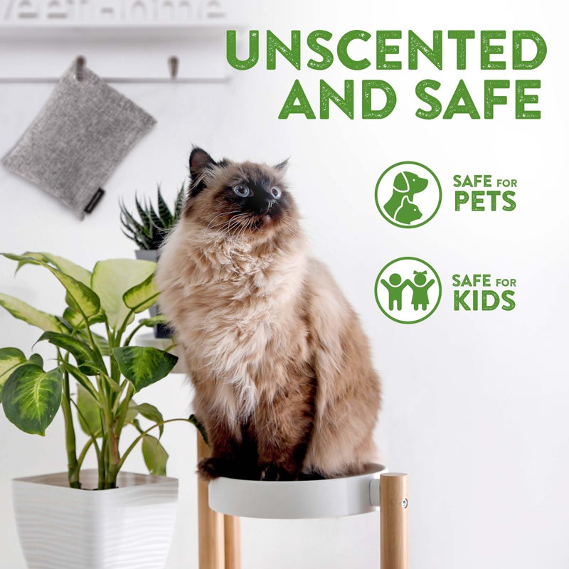 BASIC CONCEPTS Charcoal Odor Absorber for Strong Odor (6 Pack, 100g each), Bamboo Charcoal Air Purifying Bag, Basement Musty Odor Eliminator Deodorizer, Activated Charcoal Odor Absorber for Closet, Shoe, Car - Image 3